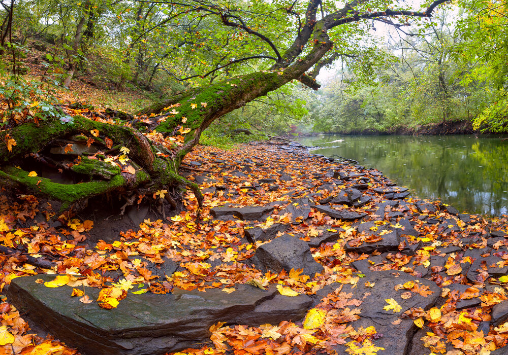 shutterstock_114189277-Web-002